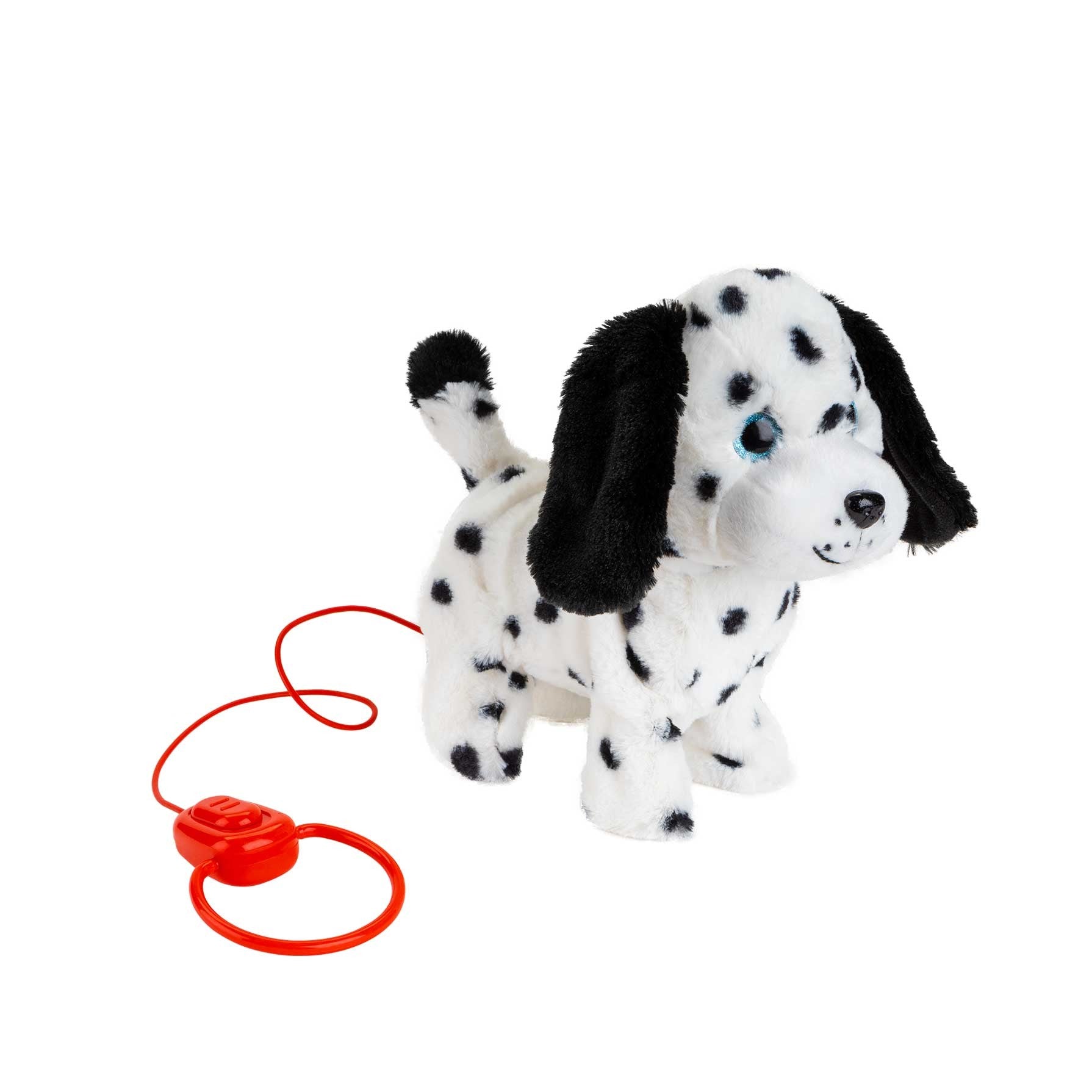 Cachorro Paseos Planet Pets