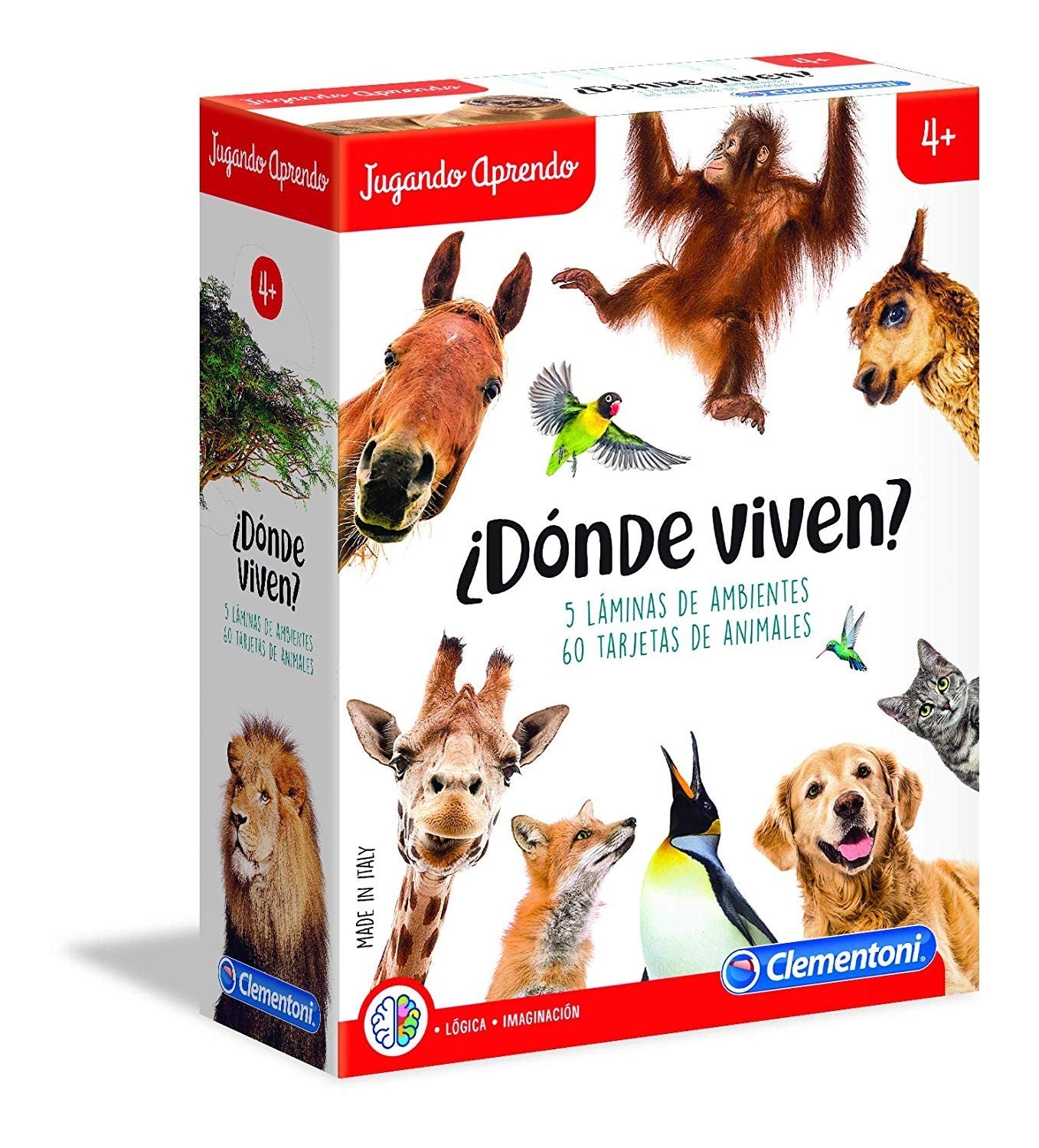 Clementoni - ¿Donde Viven? - juego educativo