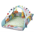 Petit Planet Parque Infantil Gimnasio Evolutivo